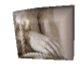 wp62f530df.png